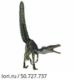 Velociraptor on white background. Стоковое фото, фотограф Corey Ford/Stocktrek Images / ТАСС / Фотобанк Лори