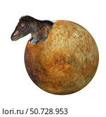 A baby Tyrannosaurus rex dinosaur hatches out of an egg. Стоковое фото, фотограф Corey Ford/Stocktrek Images / ТАСС / Фотобанк Лори