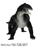 Delphinognathus prehistoric synapsid, front view on white background. Стоковое фото, фотограф Corey Ford/Stocktrek Images / ТАСС / Фотобанк Лори