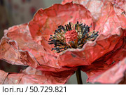 Red poppy flower showing petals and stamen close up. Стоковое AI-изображение, AI-художник Иван Рябоконь / Фотобанк Лори