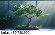 style botanical tree. Стоковое фото, фотограф Vectorwin / Фотобанк Лори