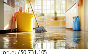 photo professional house cleaner. Стоковое фото, фотограф Vectorwin / Фотобанк Лори