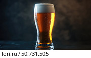 mber beer in a glass. Стоковое фото, фотограф Vectorwin / Фотобанк Лори
