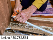 Plumber uses hand pipe cutter to cut PEX pipe near wooden floor, preparing pipe end for connection during plumbing work in residential building. Стоковое фото, фотограф Владимир Григорьев / Фотобанк Лори