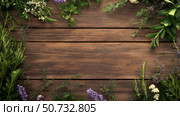 mint herbs on wood. Стоковое фото, фотограф Vectorwin / Фотобанк Лори