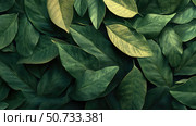 style leaf boarders. Стоковое фото, фотограф Vectorwin / Фотобанк Лори