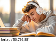 Teenager studying online at home. Стоковое AI-изображение, AI-художник Boris Vasilenko / Фотобанк Лори