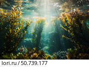 Sunlight filtering through giant kelp forest creating a magical underwater scene. Стоковое AI-изображение, AI-художник Иван Рябоконь / Фотобанк Лори