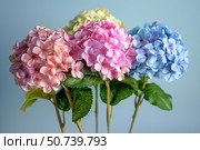 Colorful hydrangeas blooming, displaying beauty and freshness. Стоковое AI-изображение, AI-художник Иван Рябоконь / Фотобанк Лори