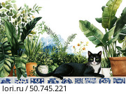 Black and White Cat Lounging Among Lush Greenery in a Vibrant Urban Garden Setting. Стоковое фото, фотограф Юлия Гапеенко / Фотобанк Лори