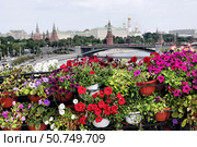 Вид на Кремль, Москву-реку и Пречистенскую набережную с Патриаршего моста, украшенного цветами (фокус на цветах) Редакционное фото, фотограф Илюхина Наталья / Фотобанк Лори