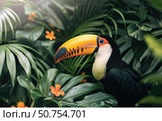 Toco toucan showing its wonderful colors in the jungle. Стоковое AI-изображение, AI-художник Иван Рябоконь / Фотобанк Лори