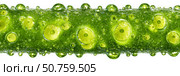 Refreshing green lime slices in carbonated water with bubbles. Стоковое AI-изображение, AI-художник Мария Фадеева / Фотобанк Лори