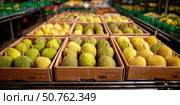Boxes of fresh durians neatly arranged in rows at a fruit market, captured in sharp focus with vibrant natural lighting and a shallow depth of field. Стоковое AI-изображение, AI-художник Катерина Бондарец / Фотобанк Лори
