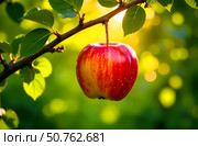 A delicious apple on a tree branch, against the backdrop of many bright green leaves and branches of the tree. Стоковое AI-изображение, AI-художник Галина Эмберг / Фотобанк Лори