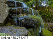 Маленький водопад в Стэнлей парке, Ванкувер, Канада. Стоковое фото, фотограф Андрей Костин / Фотобанк Лори