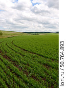 Летний пейзаж в Московской области (2010 год). Стоковое фото, фотограф Мария Деркунская / Фотобанк Лори