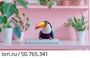 Keet on Keyboard: A Toucan's Pink Workspace. Стоковое AI-изображение, AI-художник Данила Большаков / Фотобанк Лори