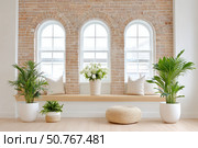 Bright minimalist interior with plants and brick accent wall. Стоковое AI-изображение, AI-художник Мария Фадеева / Фотобанк Лори