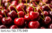 Ягоды черешни на прилавке магазина, на рынке/ Many ripe appetizing clean healthy red cherry - colorful beautiful fruit food background. Natural fresh sweet cherry fruit widescreen background. Стоковое AI-изображение, AI-художник Iva Noel / Фотобанк Лори
