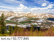 Landscape with a green forest on the hills and the mountain plateau of Lago Naki in the snow of glaciers on a spring day against the background of a blue sky with clouds. Стоковое фото, фотограф Андрей С / Фотобанк Лори