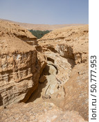 Canyon near Mides Oasis in Tamgahza, near Tozeur in Tunisia (2024 год). Стоковое фото, фотограф Яков Филимонов / Фотобанк Лори