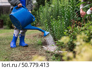 A cute boy with a blue watering can is watering plants and flowers in a summer garden outdoors. The concept of gardening and teaching a child to work. Стоковое фото, фотограф Photojuli / Фотобанк Лори