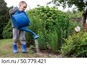 A cute boy with a blue watering can is watering plants and flowers in a summer garden outdoors. The concept of gardening and teaching a child to work. Стоковое фото, фотограф Photojuli / Фотобанк Лори