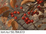 Branch of a crabapple tree showing ripe red fruit in autumn. Стоковое AI-изображение, AI-художник Иван Рябоконь / Фотобанк Лори
