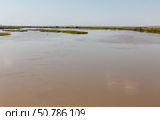 Scenic view of Amu Darya River near Kipchak in Karakalpakstan, Uzbekistan during daytime (2024 год). Стоковое фото, фотограф Михаил Пряхин / Фотобанк Лори