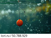 Vibrant orange fishing bobber underwater with bubbles. Стоковое AI-изображение, AI-художник Иван Рябоконь / Фотобанк Лори