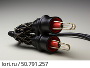 Dual audio cable showing red and gold connectors and braided covering. Стоковое AI-изображение, AI-художник Иван Рябоконь / Фотобанк Лори