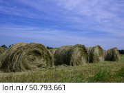 Круглые тюки сена в поле на фоне голубого неба. Стоковое фото, фотограф Алексей Линник / Фотобанк Лори
