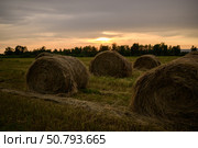 Круглые тюки сена на закате. Стоковое фото, фотограф Алексей Линник / Фотобанк Лори