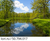 Beautiful forest park with mirror reflection of clouds and deciduous trees in quiet pond with ducks on sunny May day. Walks and recreation outside city. Picturesque spring landscape. Natural background. Стоковое фото, фотограф Виктория Катьянова / Фотобанк Лори