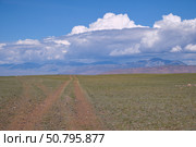 Field road across the intermountain plain in Yustyd River valley in Altai. Стоковое фото, фотограф Сергей Пристяжнюк (Serg Zastavkin) / Фотобанк Лори