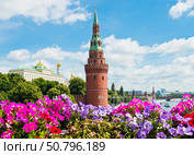 Цветы на Большом Каменном мосту. Вид на Большой Кремлевский дворец и Водовзводную башню. Солнечно. Лето. Москва. Россия. Редакционное фото, фотограф E. O. / Фотобанк Лори