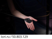 An unrecognizable woman demonstrates an elegant thin leather strip whip in a dark bedroom. Close-up of female hands with a bdsm toy. Pain and pleasure.Adult toy for slaps. Стоковое фото, фотограф Михаил Решетников / Фотобанк Лори