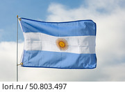 Flag of Argentina waving on cloudy sky during daytime. Стоковое фото, фотограф Яков Филимонов / Фотобанк Лори