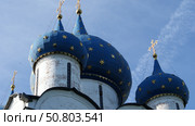 Купола Рождественского собора. Стоковое фото, фотограф Алексей Мохирев / Фотобанк Лори
