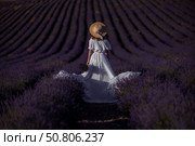 Lavender woman field Provence summer. Back view of girl in white dress in Provence lavender field. Стоковое фото, фотограф svetograph / Фотобанк Лори