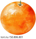 Watercolor painting of fresh mandarin with dimpled peel and green leaf, clean white background. Sunny citrus fruit art with organic imperfections. Стоковое AI-изображение, AI-художник Светлана Леуто / Фотобанк Лори