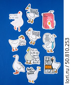 Novosibirsk, Russia - May 30, 2025: Vinyl stickers featuring humorous and viral goose memes in a fun and playful style. These designs showcase funny goose illustrations, meme captions, exaggerated expressions. Редакционное фото, фотограф Виталий Сова / Фотобанк Лори