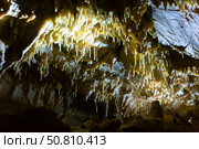 Stalactites, stalagmites and streak formations in cave of Balzarca. Moravian Karst. Czech Republic. Стоковое фото, фотограф Яков Филимонов / Фотобанк Лори