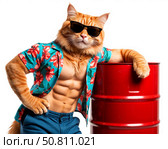 Рыжий кот в очках и рубашке опирается на красную металлическую бочку. Стоковое AI-изображение, AI-художник Валерий Ячин / Фотобанк Лори