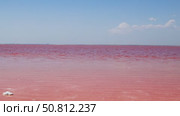 Vast expanse of vibrant pink water under a clear blue sky, with gentle waves creating ripples, showcasing the unique beauty of this surreal natural landscape. Sasyk-Sivash Lake. Стоковое видео, видеограф Ирина Ручушкина / Фотобанк Лори