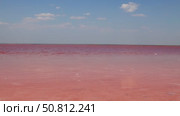 Vast expanse of vibrant pink water under a clear blue sky, with gentle waves creating ripples, showcasing the unique beauty of this surreal natural landscape. Sasyk-Sivash Lake. Стоковое видео, видеограф Ирина Ручушкина / Фотобанк Лори