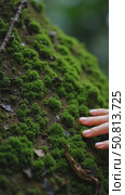 Cinematic close up of female fingers touch gently moss on tree bark. Tender and sensual connection to nature and environment. Conscious traveling and protection of rain forest. Стоковое AI-видео, аниматор Sergey Grishin / Фотобанк Лори