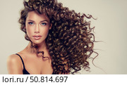 Brunette girl with long and shiny curly hair . Beautiful model woman with wavy hairstyle . Afro hair. Стоковое фото, фотограф Sofia Zhuravetc / Фотобанк Лори