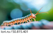 Macro of a Centipede: A close-up study of its body, legs, and antennae. Стоковое AI-изображение, AI-художник Данила Большаков / Фотобанк Лори